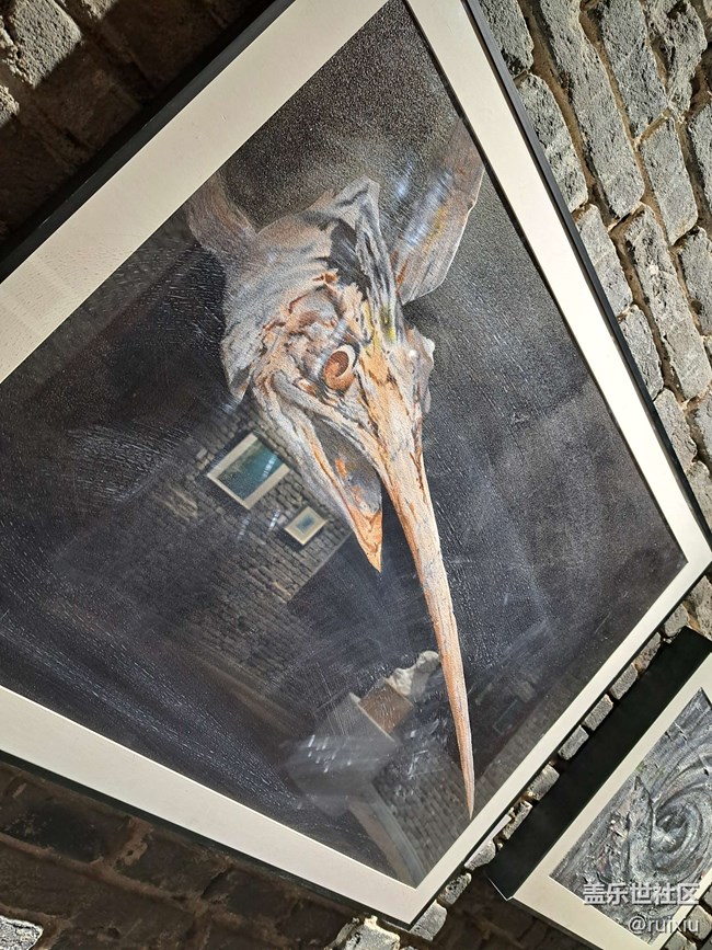 【沈陽藝術(shù)攝影】星部落的藝術(shù)之旅