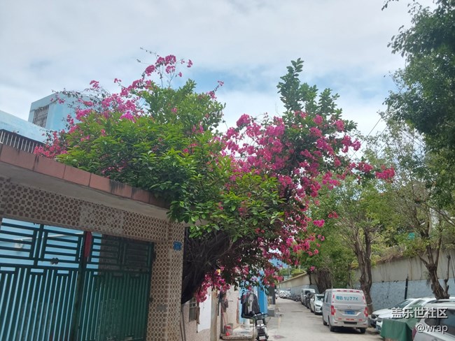 【萬物復(fù)蘇的春天】春色