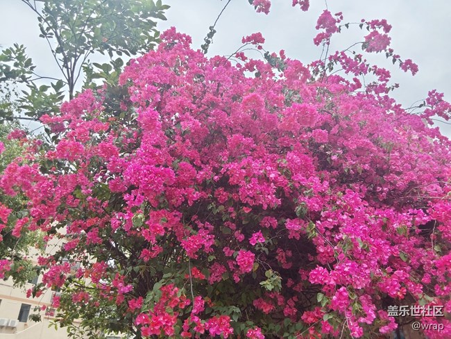 【萬物復(fù)蘇的春天】春色