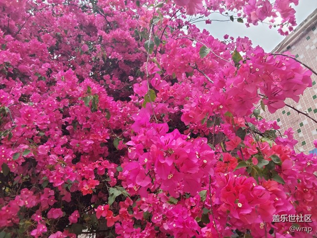 【萬物復(fù)蘇的春天】春色