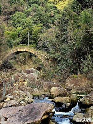 【三月芳菲】溪東小徑