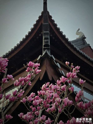 夕陽下的無錫泗洲寺