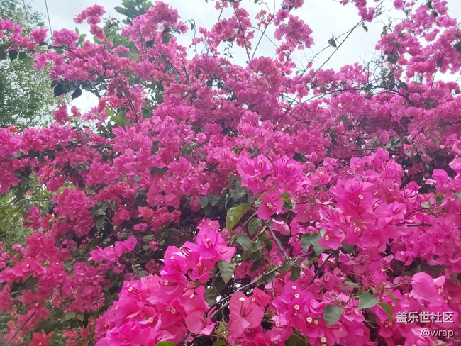 【春和景明】初春