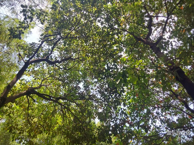 【迎接美好】春色滿園