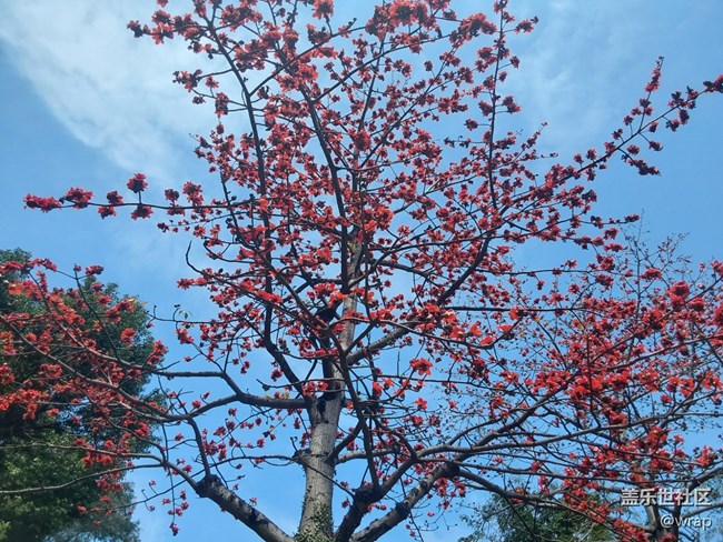 【迎接美好】春色滿園