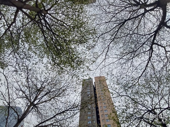 【萬物復(fù)蘇的春天】春色