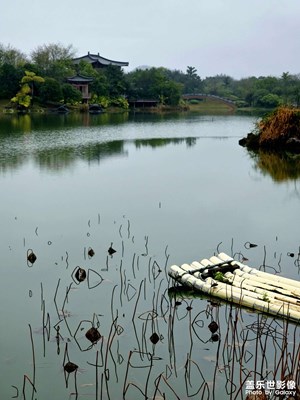 【眼界視界】視界無限