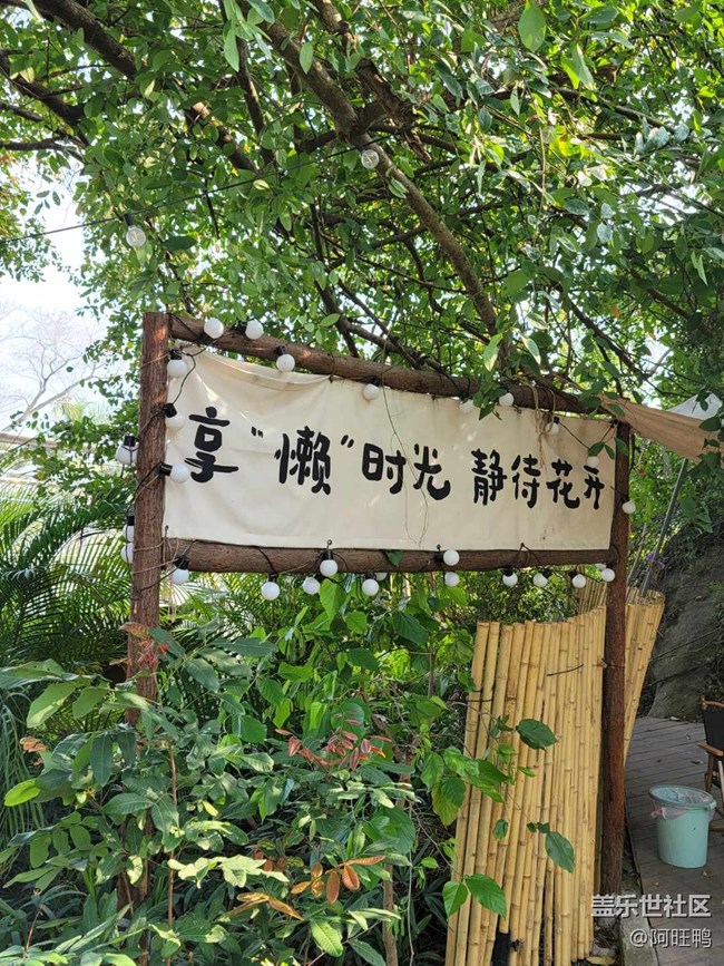 【廈門星部落】【春】春的顏色