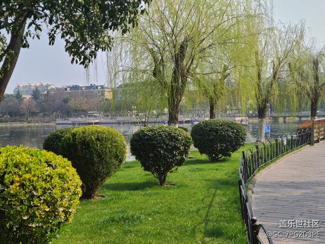 【春影留痕】初春