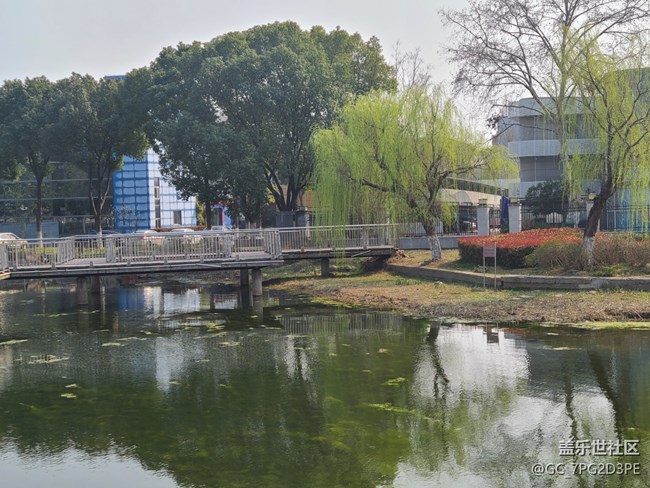 【春和景明】春天景象