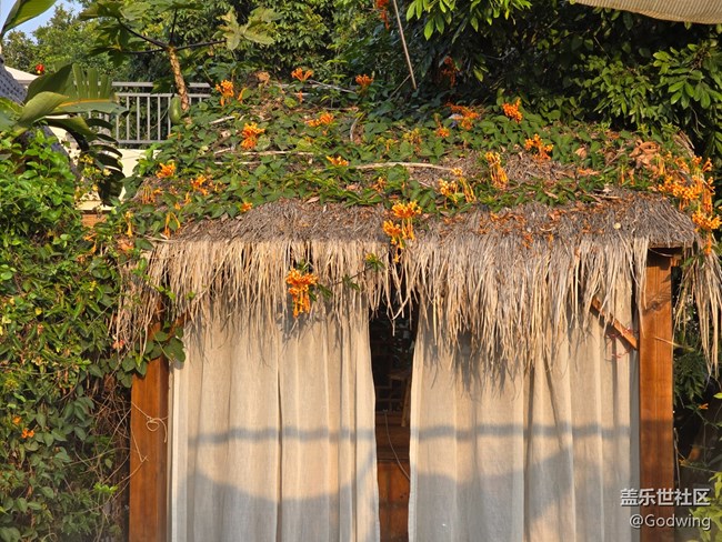 廈門星部落3月攝影活動(dòng)回顧貼