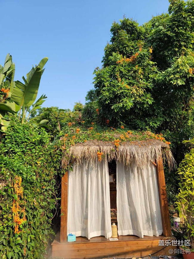 【廈門星部落】【春】春的顏色