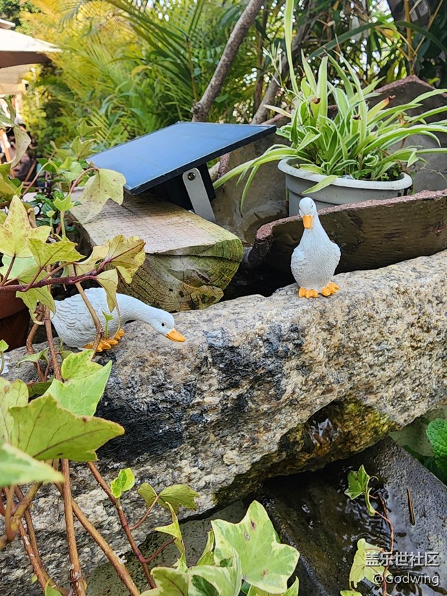 廈門星部落3月攝影活動(dòng)回顧貼