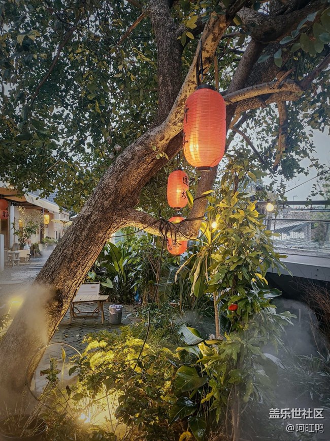 廈門星部落3月攝影活動回顧貼