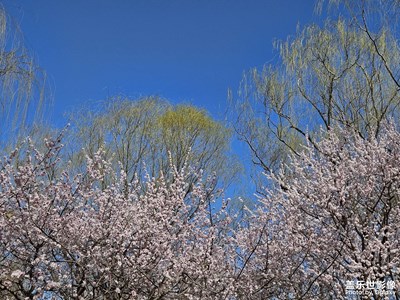 【眼界視界】交相輝映