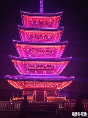 【眼界視界】+?賞櫻花