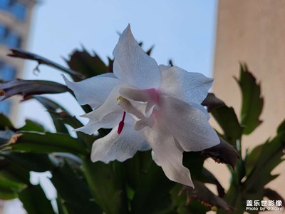 【眼界視界】+ 我的春意盎然