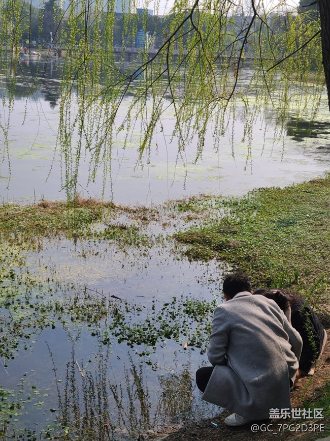 【春影留痕】初春
