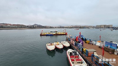 【三月芳菲】+青島小憩