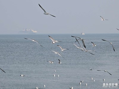 【眼界視界】世界的盡頭