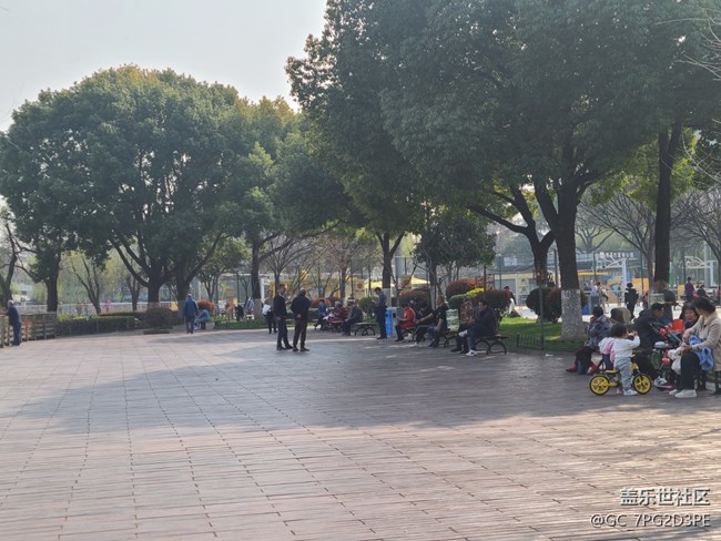 【春影留痕】初春