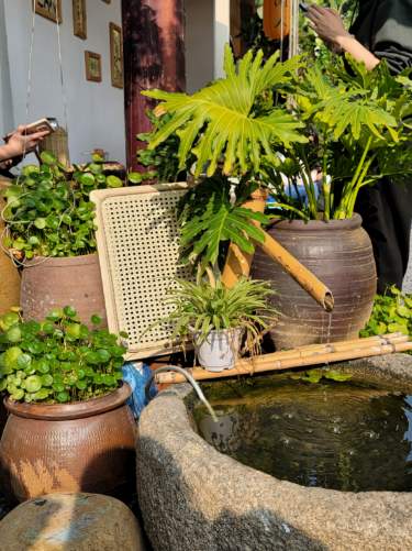 【廈門星部落】【春】春的顏色