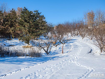 galaxyS22Ultra 雪晴暢觀臺