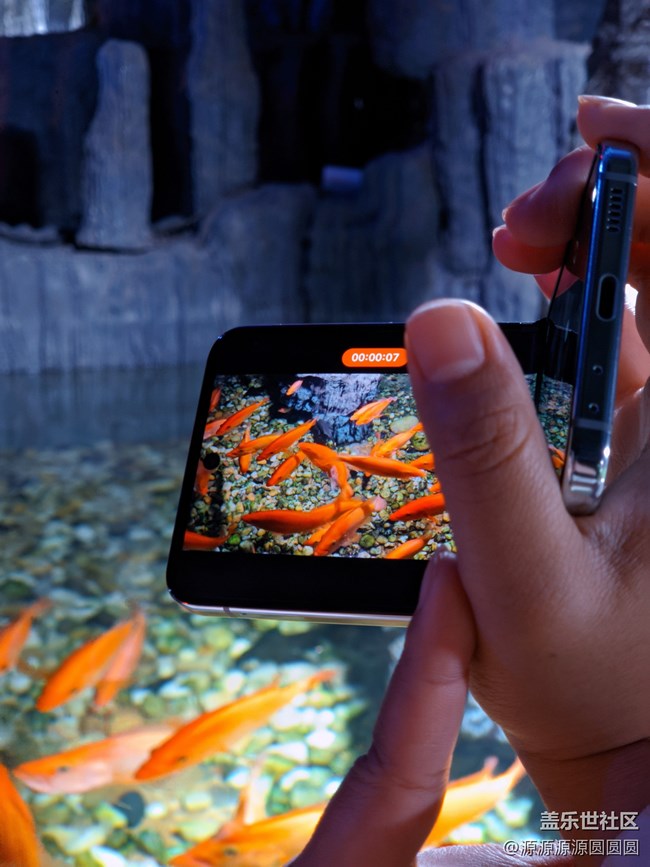 帶著Z Flip5去春游