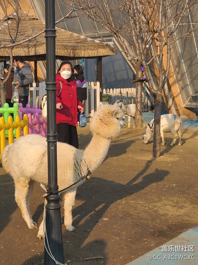 【冬天的故事】可愛動(dòng)物