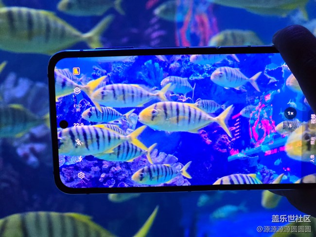 帶著Z Flip5去春游