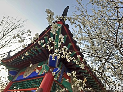 【眼界視界】鏡中桃花