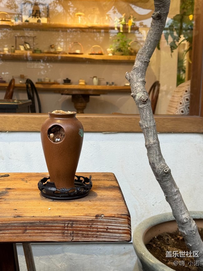 廈門星部落3月線下攝影活動回顧貼