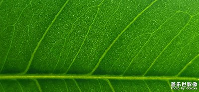 【眼界視界】+一葉一世界