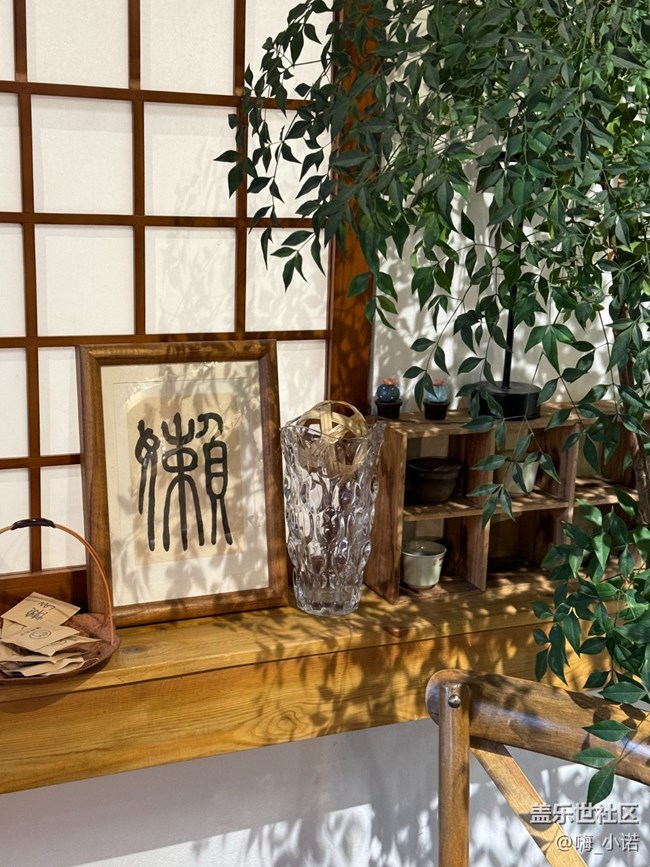 廈門星部落3月線下攝影活動回顧貼