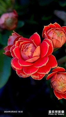 春暖花開