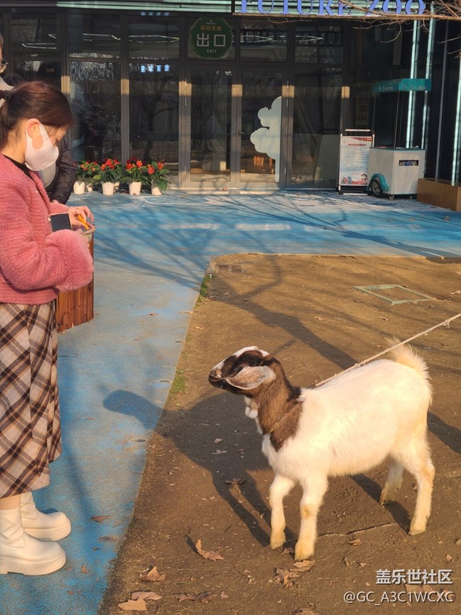 【冬天的故事】可愛動(dòng)物