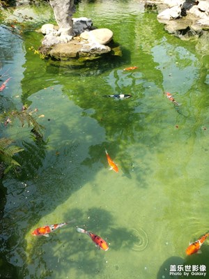 【醉春山】有蘇州之寒山寺