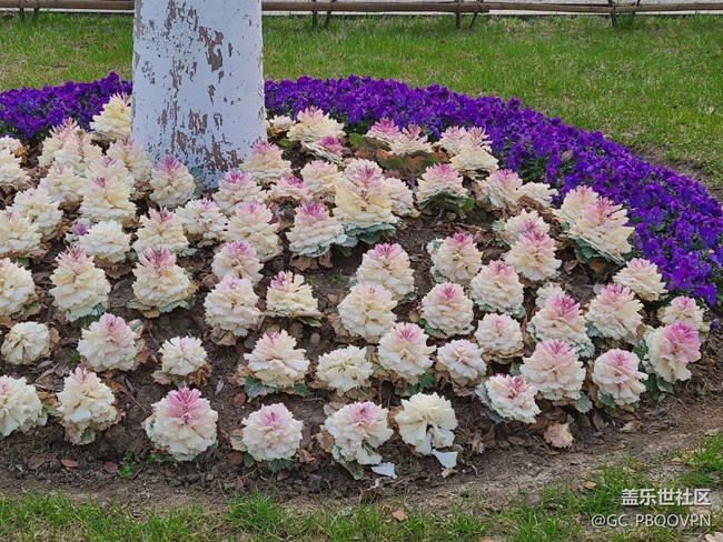 【春影留痕】+春天氣息