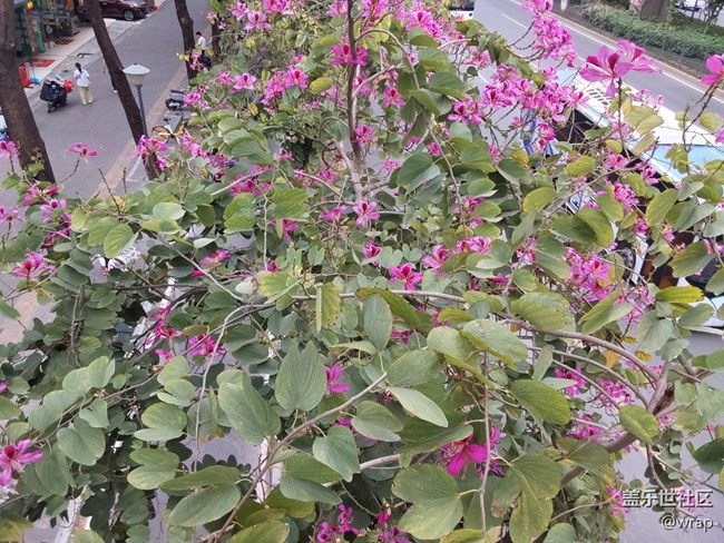 【生活中的小美好】今日美好出行