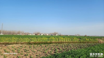 【醉春山】+

天藍(lán)地綠