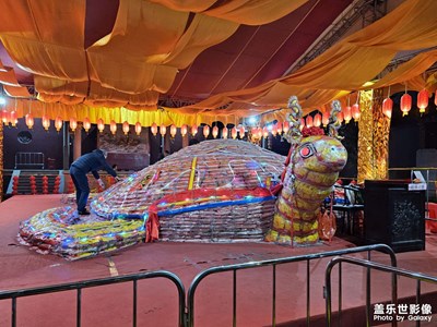 【眼界視界】民俗乞龜