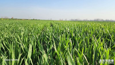 【醉春山】+

鄉(xiāng)村美景