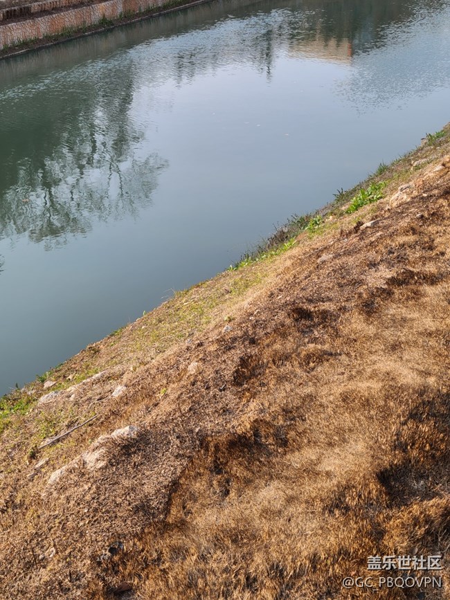 【生活中的小美好】路途中的景色