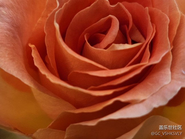 #初春時(shí)節(jié)——花