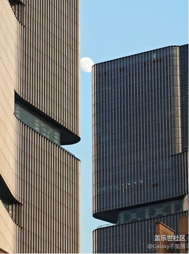 【長(zhǎng)焦的美】相遇