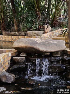 【眼界視界】生活日常