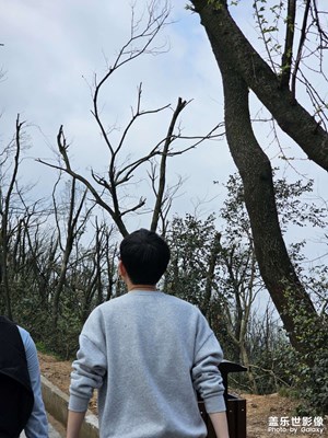 【醉春山】沉浸