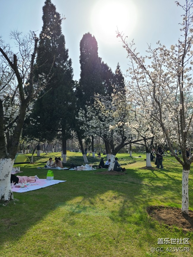 【春和景明】春游