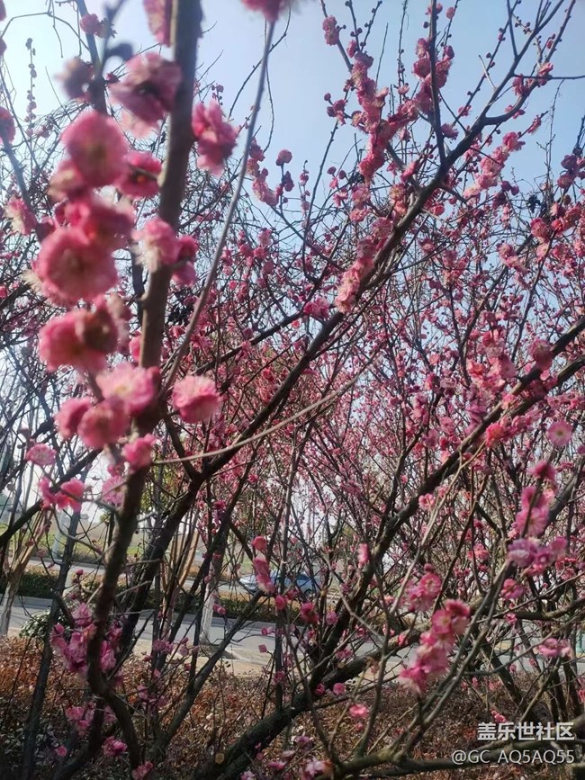 【春和景明】春季感悟