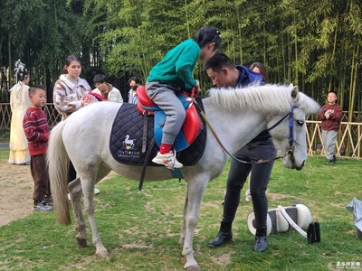 【眼界視界】騎馬體驗